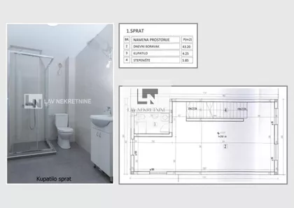 Cara Dušana | 4zida.rs