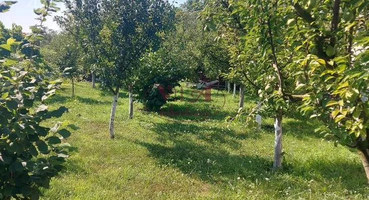 Plac | 4zida
