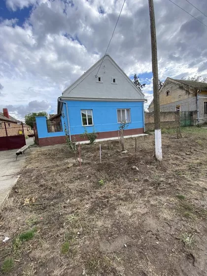 Novi Kozjak | 4zida.rs