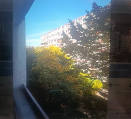 Vladimira Popovića | 4zida.rs