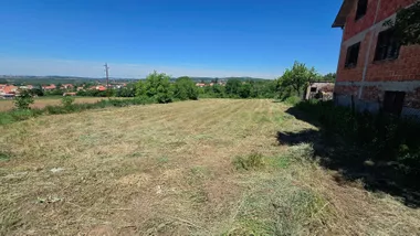 Pinosava