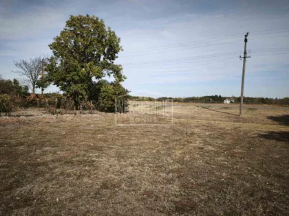 Kelebija | 4zida.rs