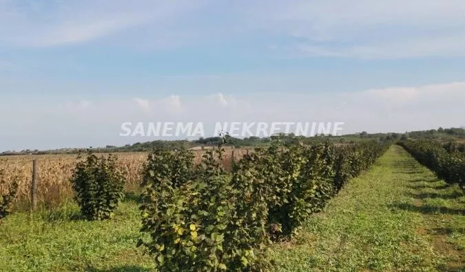 Poljoprivredno zemljište | 4zida