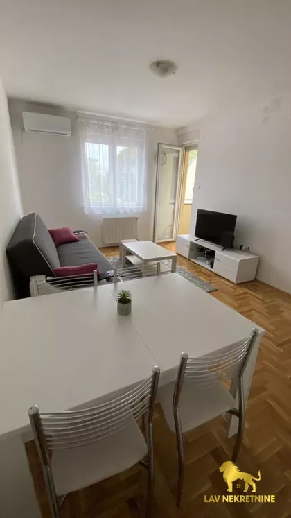 JERNEJA KOPITARA | 4zida.rs