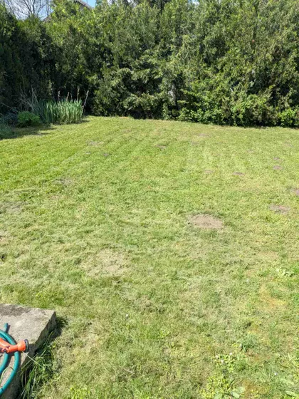 Mali Radanovac | 4zida.rs