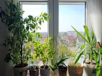 Borča, Palilula opština, Beograd | 4zida.rs