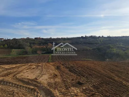 Brestovnik | 4zida.rs