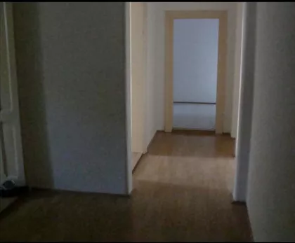 Ivićeva | 4zida.rs