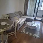 Novi Sad, Gradske lokacije, Stari Grad, Novi Sad - Centar | 4zida.rs | 4zida.rs