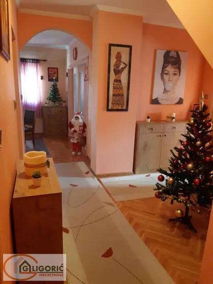 Vidikovački Venac | 4zida.rs