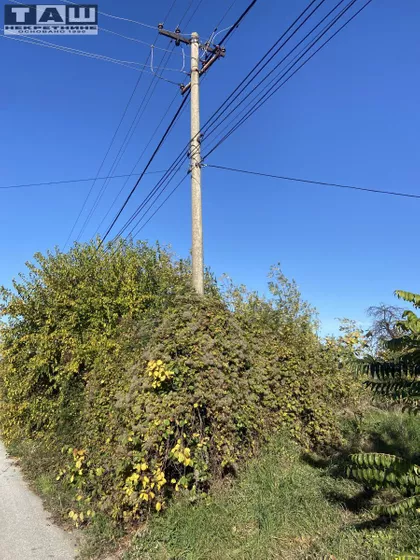 Beloševac | 4zida.rs