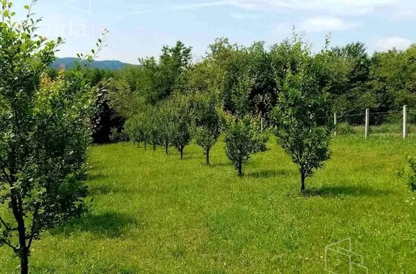 Plac | 4zida