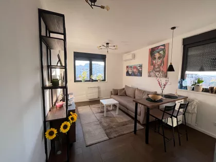 Gospodara Vucica | 4zida.rs