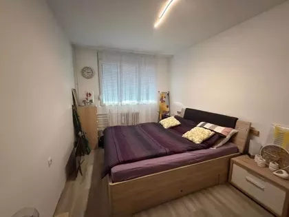 Ljube Vučkovića | 4zida.rs