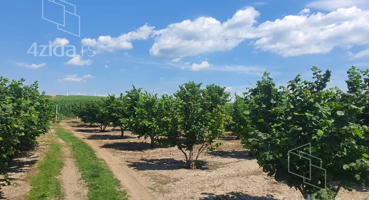 Poljoprivredno zemljište | 4zida