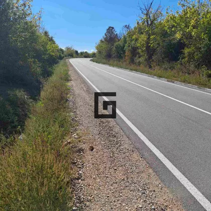 Vase Čarapića | 4zida.rs