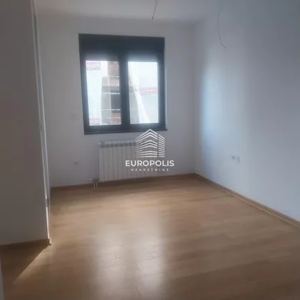 Vase Stajića | 4zida.rs