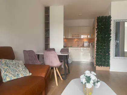 Tošin Bunar 270 G | 4zida.rs