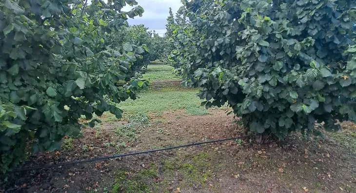 Poljoprivredno zemljište | 4zida