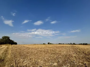 Čortanovci