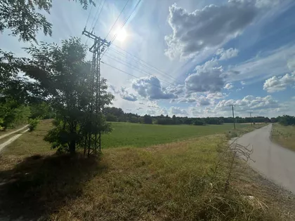 Palić | 4zida.rs