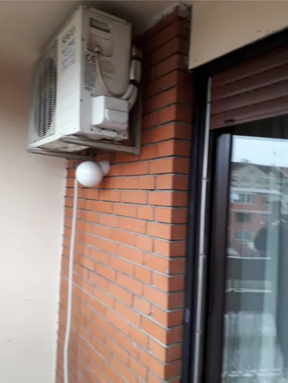 Radomira Raše Radujkova | 4zida.rs