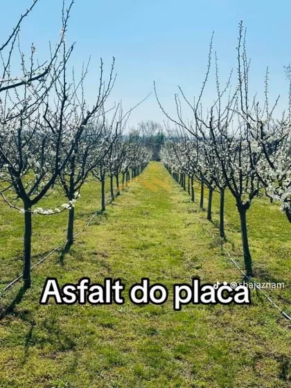 Okolne lokacije | 4zida.rs