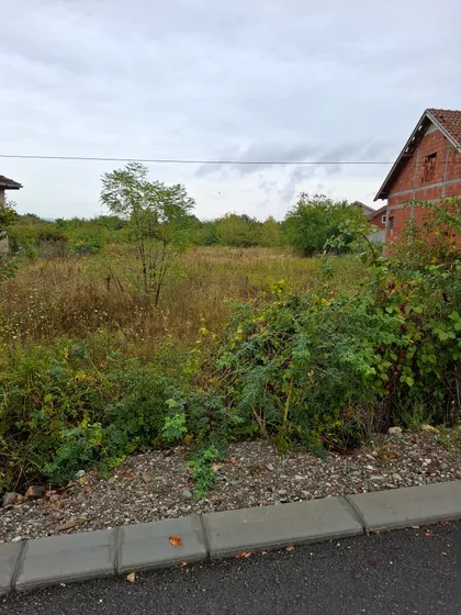 Mudrakovac | 4zida.rs