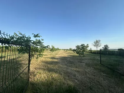 Kačarevo | 4zida.rs