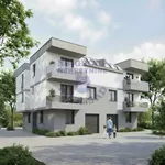 Novi Sad, Gradske lokacije, Sajlovo | 4zida.rs | 4zida.rs