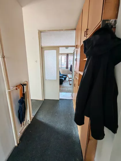 Cara Dušana | 4zida.rs