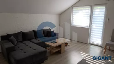 Đure Gajića