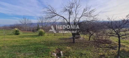 Dobrice Erića | 4zida.rs