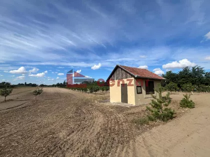 Tavankut | 4zida.rs